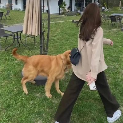 情归长安
